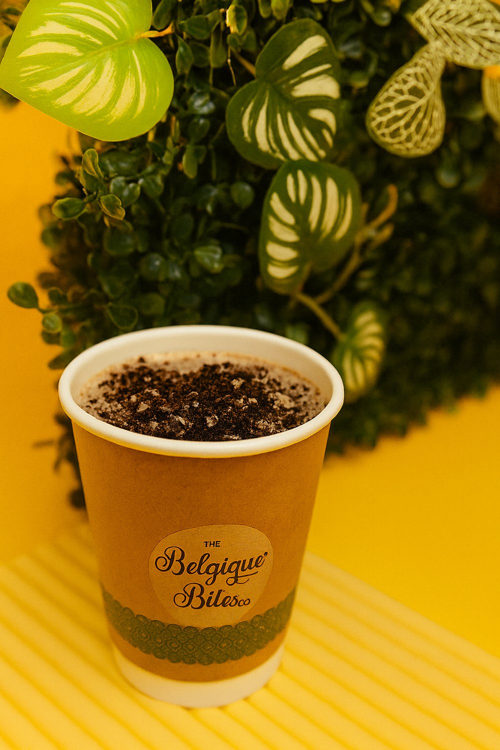 Belgique Chocomelt Waffle